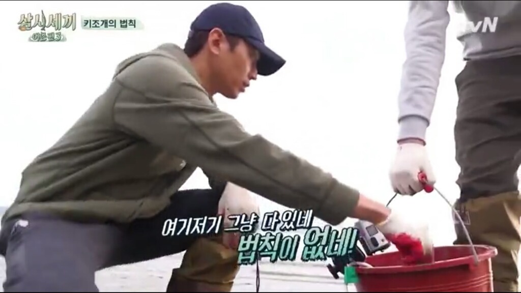 [삼시세끼] 에릭이 말하는 어이없는 키조개의 법칙ㅋㅋㅋㅋㅋㅋㅋㅋㅋ | 인스티즈