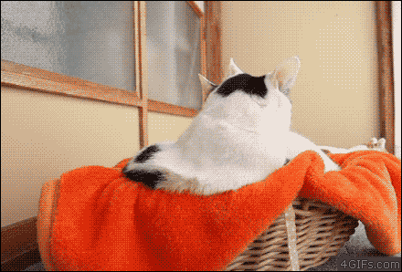 갑자기 싸움.gif | 인스티즈