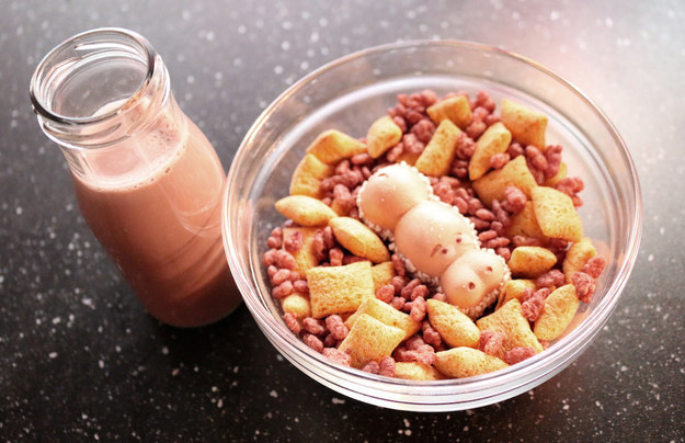 국내도입이 시급한 외국의 씨리얼 카페 | 인스티즈