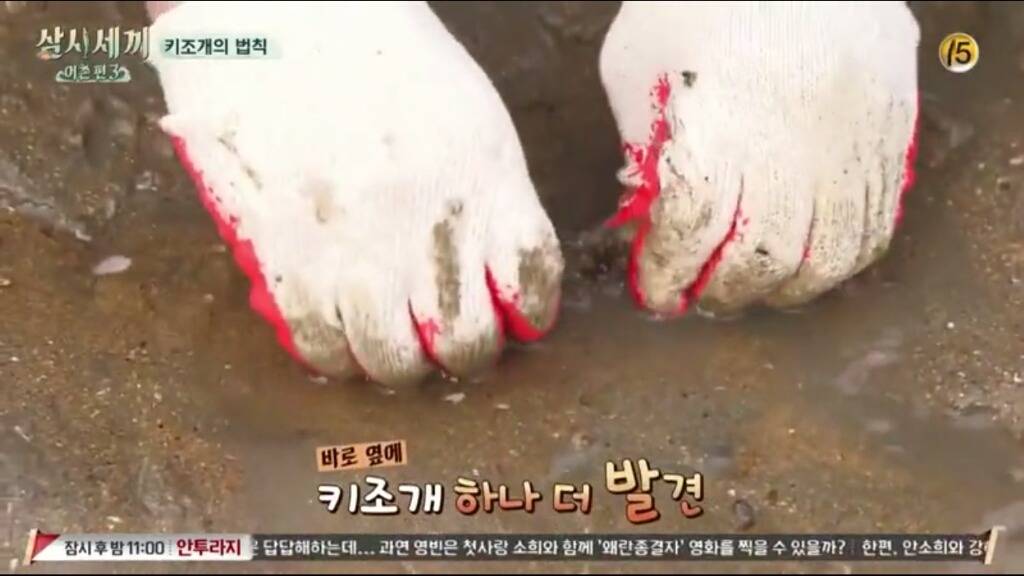 [삼시세끼] 에릭이 말하는 어이없는 키조개의 법칙ㅋㅋㅋㅋㅋㅋㅋㅋㅋ | 인스티즈