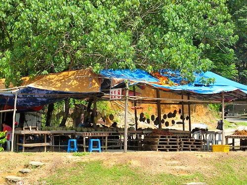  과일의 왕이라고 불리는 과일.jpg | 인스티즈