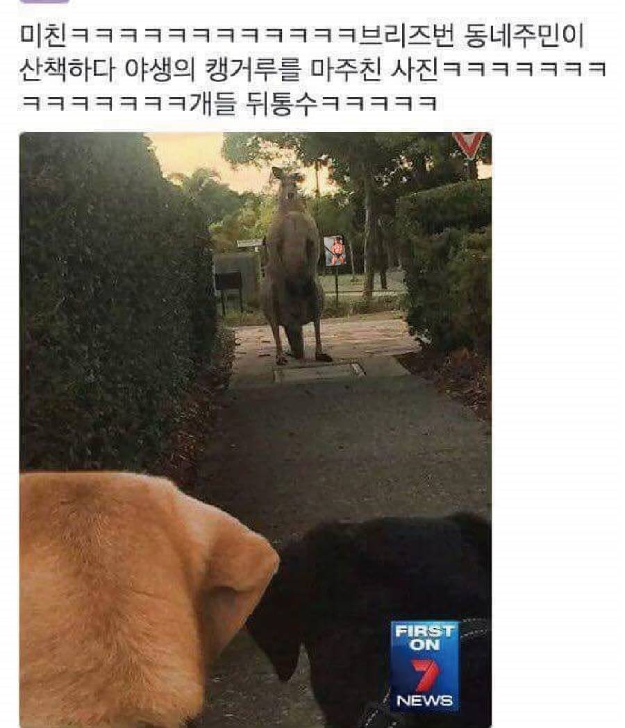 호주의 흔한 일상 | 인스티즈