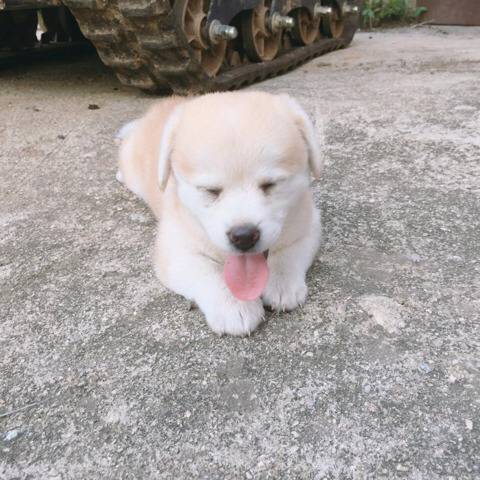 모든 커뮤 대통합을 이뤄버린 인절미 | 인스티즈