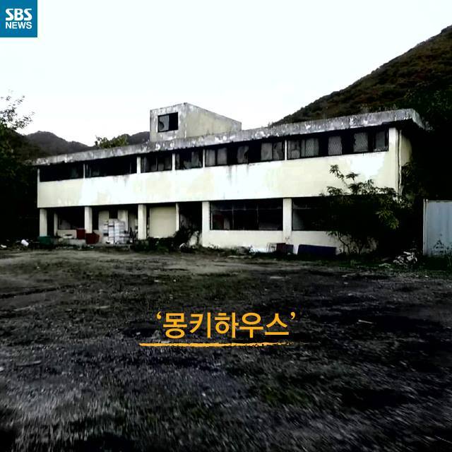  우리는 원숭이가 아닙니다 | 인스티즈