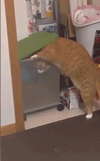 하나만 빼먹어야지.gif | 인스티즈