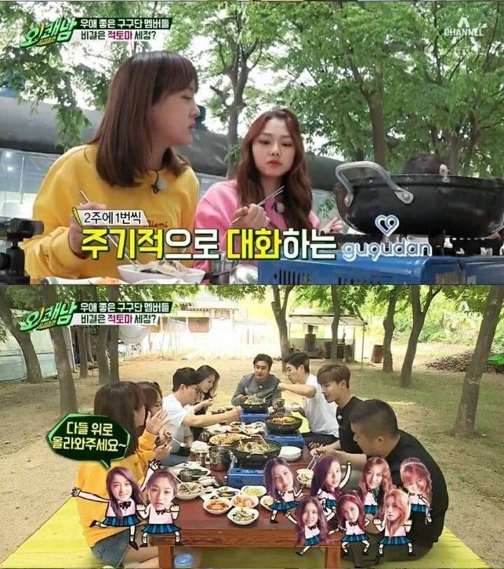 멤버들끼리 한번도 싸운적이 없는 걸그룹 | 인스티즈