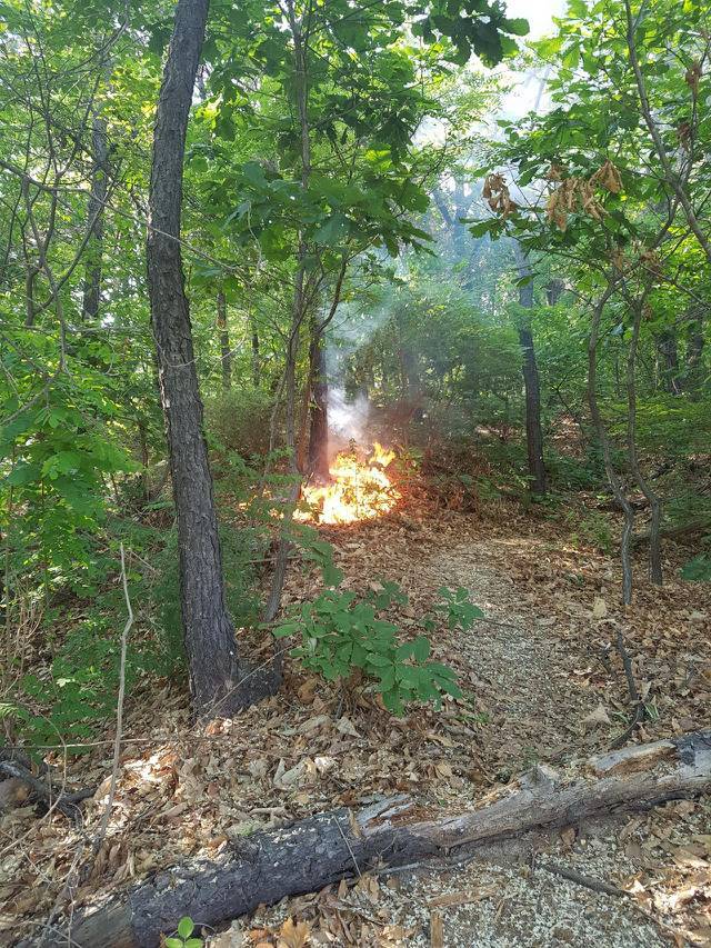 내가 산불 막은 거 같다 | 인스티즈
