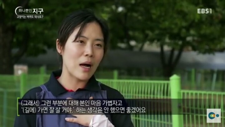 고양이는 버려도 되나요? | 인스티즈