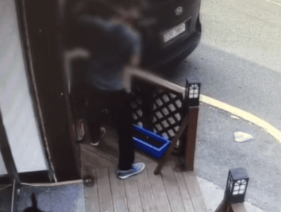 혐오,분노주의)고양이 잔혹하게 내던져 죽이고는 '웃으며 도망쳤다' | 인스티즈