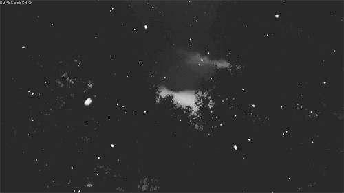 잘 지내 주어요.더 이상 내가 그대 안의 분홍빛 아니어도 그대의 봄 아름 답기를 | 인스티즈