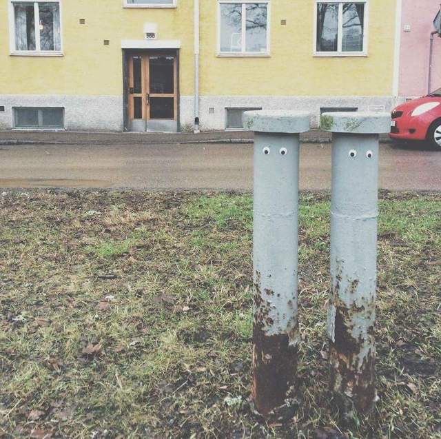 눈만 생겨도 귀여워 지는 세상 | 인스티즈