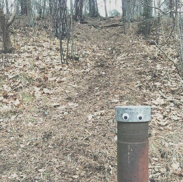 눈만 생겨도 귀여워 지는 세상 | 인스티즈