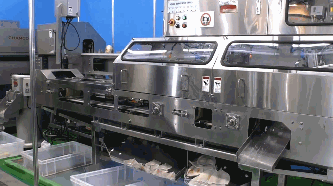 오징어 해체과정 | 인스티즈