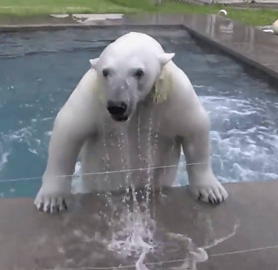 ???:우리애는 진짜 안물어요 ㅎㅎ | 인스티즈