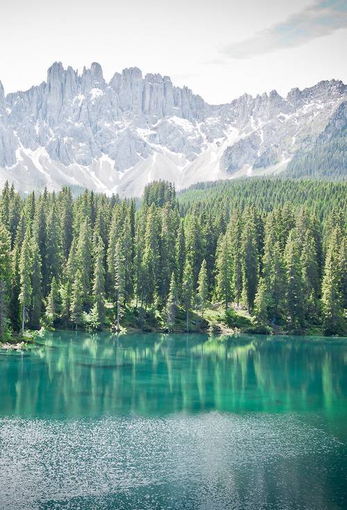 지친 당신을 위로해주는 사진.jpg | 인스티즈