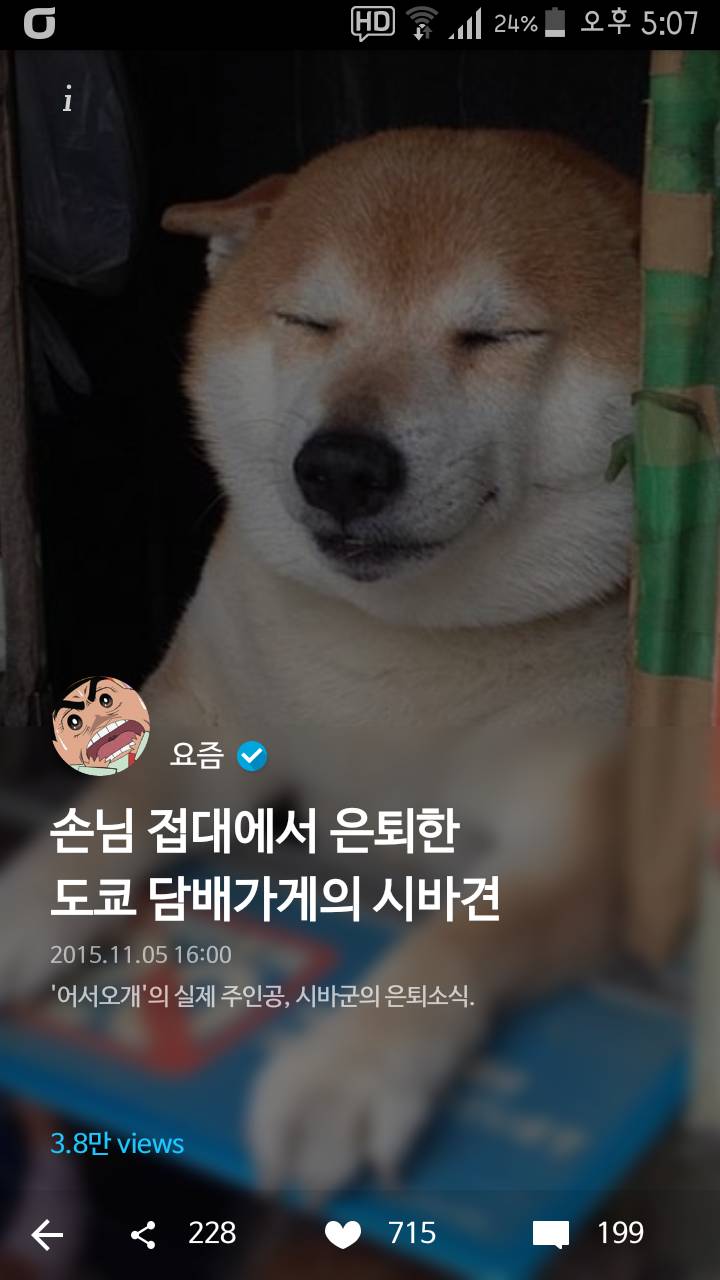 손님 접대에서 은퇴한 도쿄 담배가게의 시바견 - 인스티즈(instiz) 이슈 카테고리