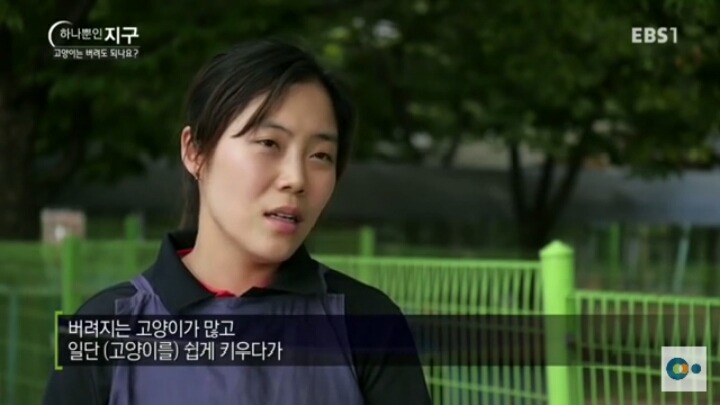 고양이는 버려도 되나요? | 인스티즈