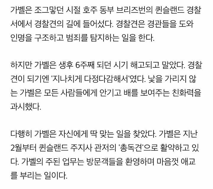 경찰견에서 짤린 이유.jpg | 인스티즈