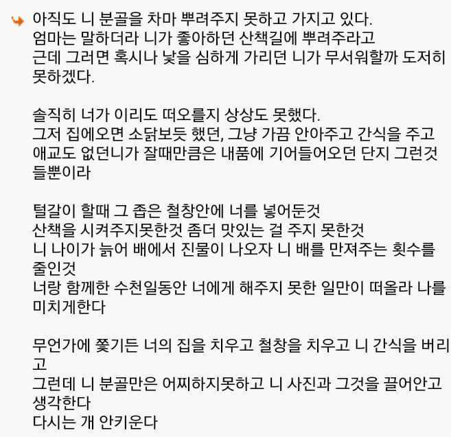 다시는 안키운다 | 인스티즈