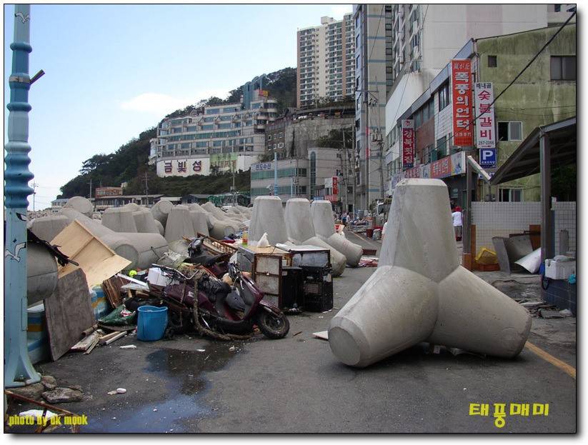 태풍의 엄청난 위력에 육지로 올라온 돌과 테트라포드.jpg | 인스티즈