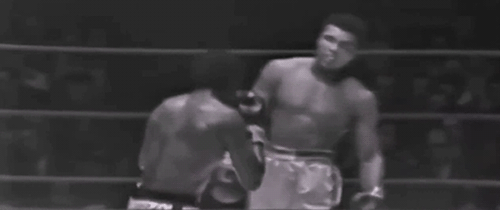 주먹 피하는 알리 | 인스티즈