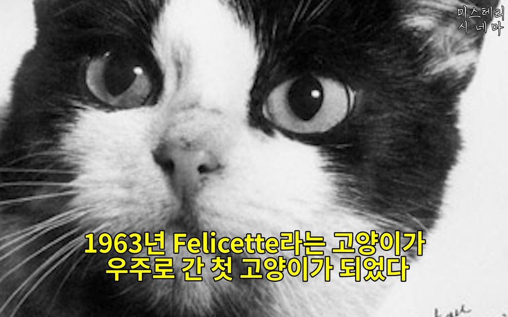 우주에 대해 몰랐던 사실들 (1) | 인스티즈