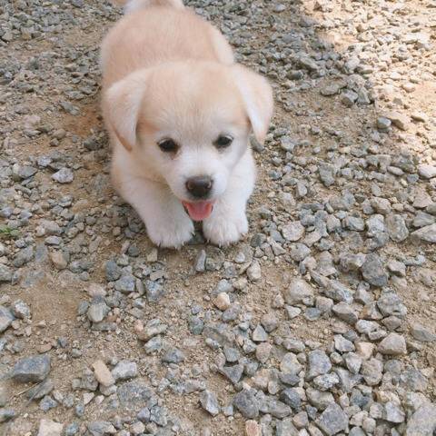 모든 커뮤 대통합을 이뤄버린 인절미 | 인스티즈