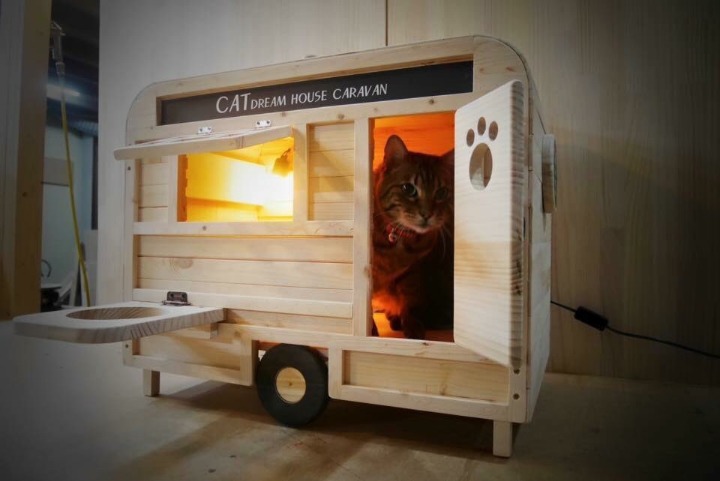 집사의 솜씨 | 인스티즈