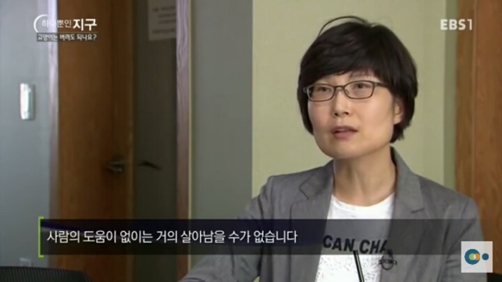 고양이는 버려도 되나요? | 인스티즈