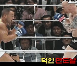 MMA 경량급 강자들의 명경기 | 인스티즈