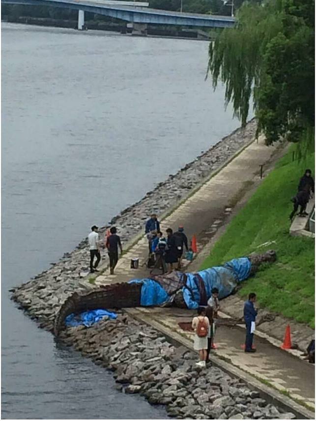 악어 레전드 | 인스티즈