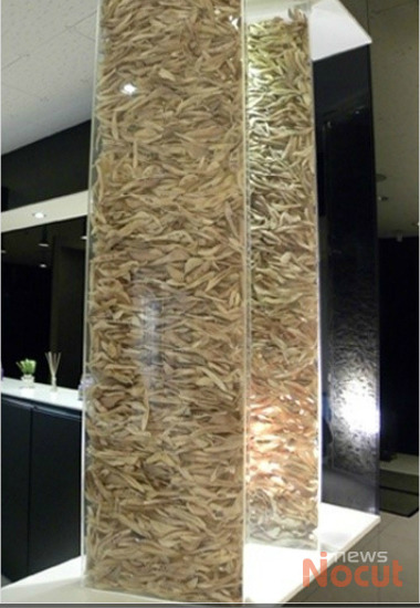 현대 한국의 인체 공양 탑 | 인스티즈