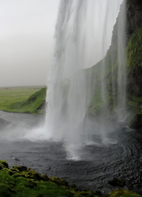 지친 당신을 위로해주는 사진.jpg | 인스티즈