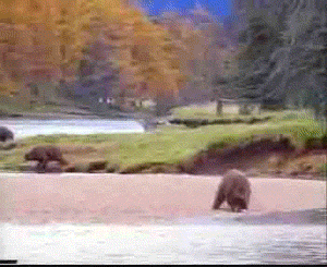 철권 실사판.gif | 인스티즈