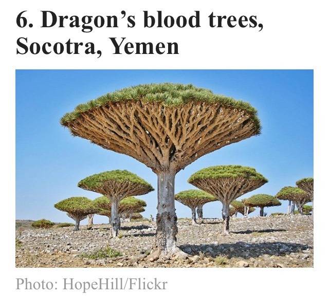 지구상에서 가장 신비로운 장소 16곳.jpg | 인스티즈