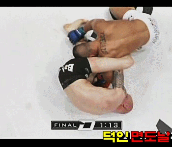 MMA 경량급 강자들의 명경기 | 인스티즈