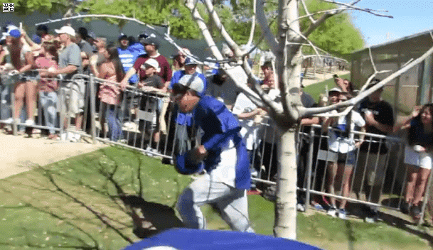 싸인성애자 vs 싸인혐오자 | 인스티즈