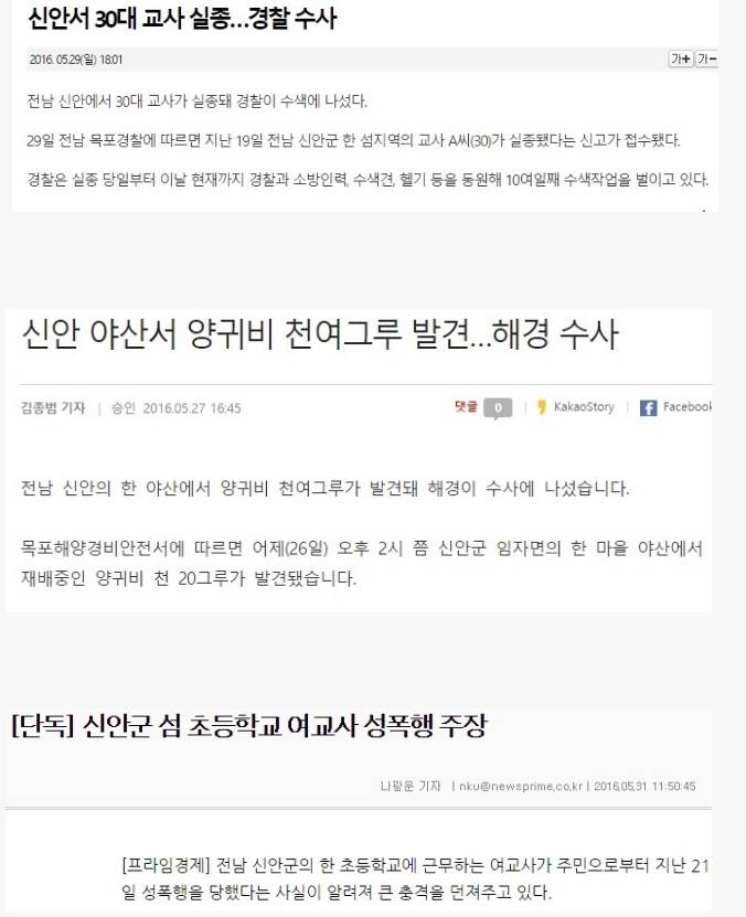 신안의 일주일 | 인스티즈