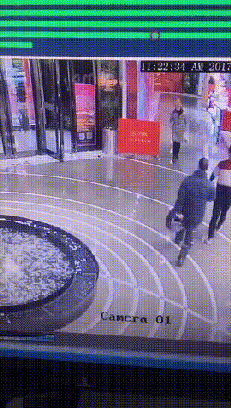 포켓몬 고의 위험성.gif | 인스티즈