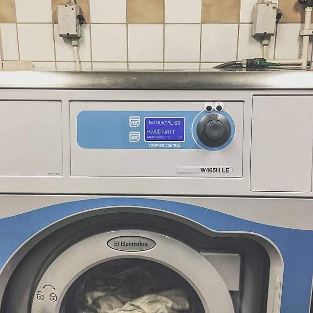 눈만 생겨도 귀여워 지는 세상 | 인스티즈