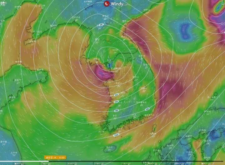 펨코인이 예측한 19호 태풍 솔릭.jpg | 인스티즈