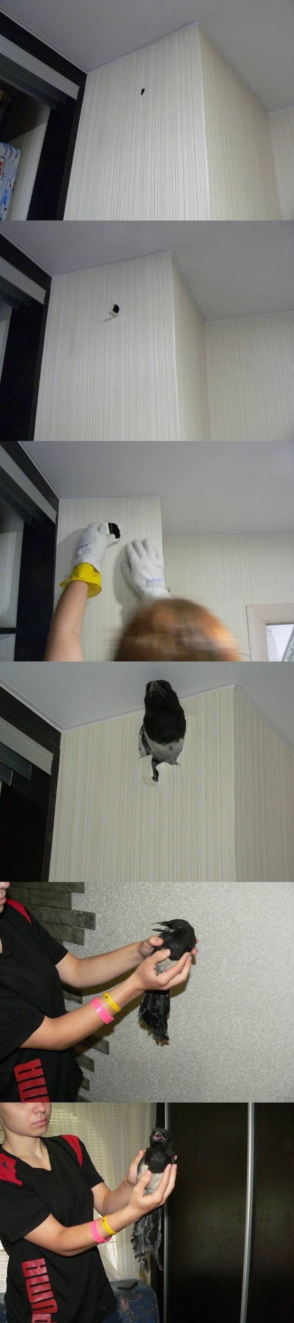 벽에 구멍이 났다 | 인스티즈