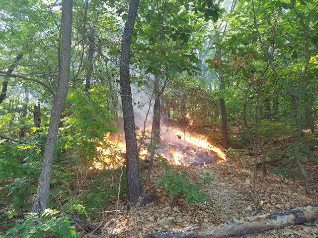 내가 산불 막은 거 같다 | 인스티즈