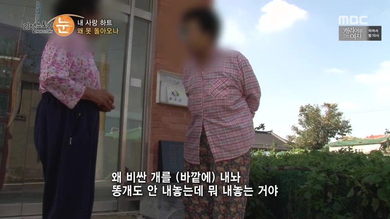 길가던 남의 애완견 때려죽여서 잡아먹은 사건 가해자들의 반응.jpg | 인스티즈