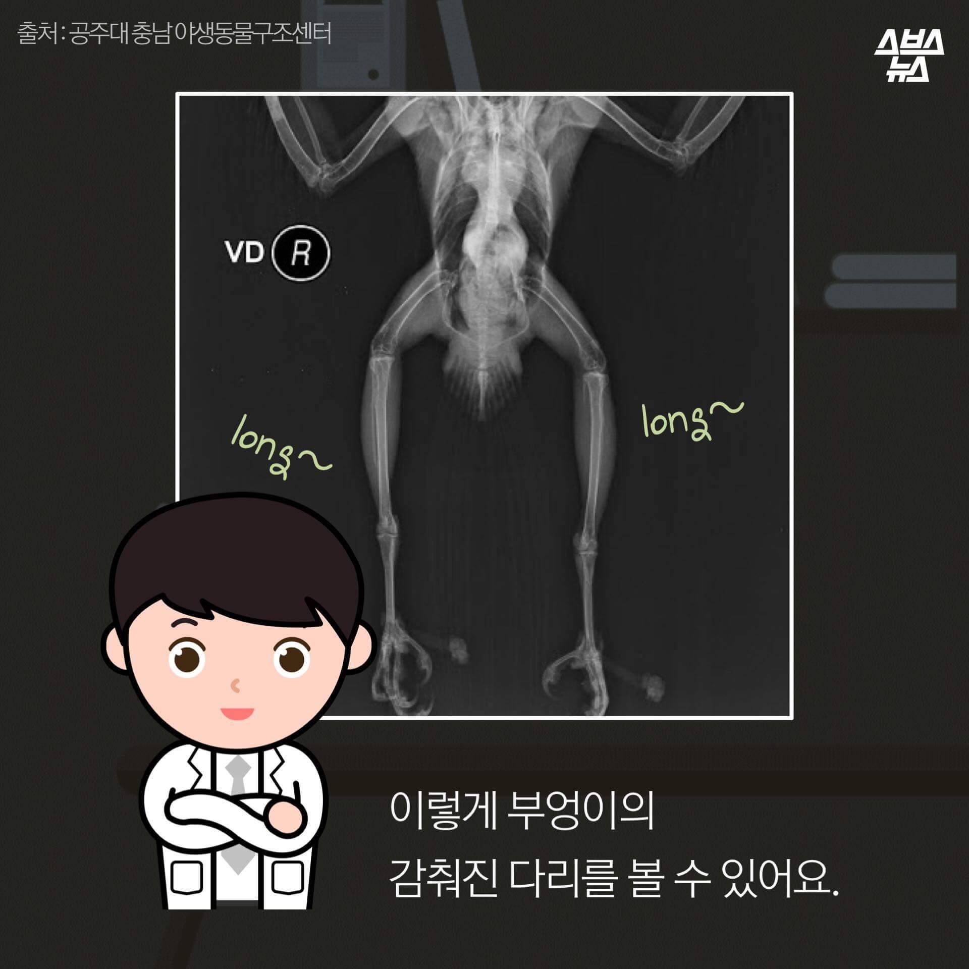 숏하지 않다고 말해부엉 | 인스티즈