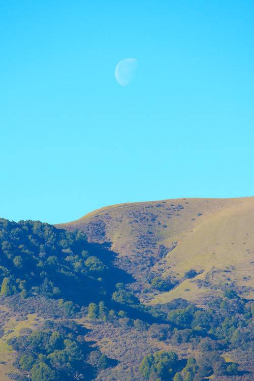 지친 당신을 위로해주는 사진.jpg | 인스티즈