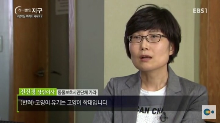 고양이는 버려도 되나요? | 인스티즈