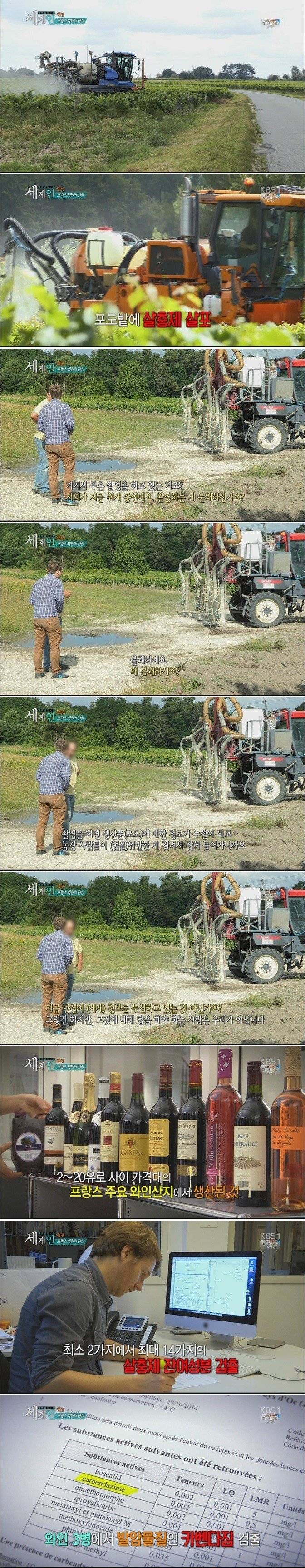 프랑스와인의 충격적인 진실.. | 인스티즈