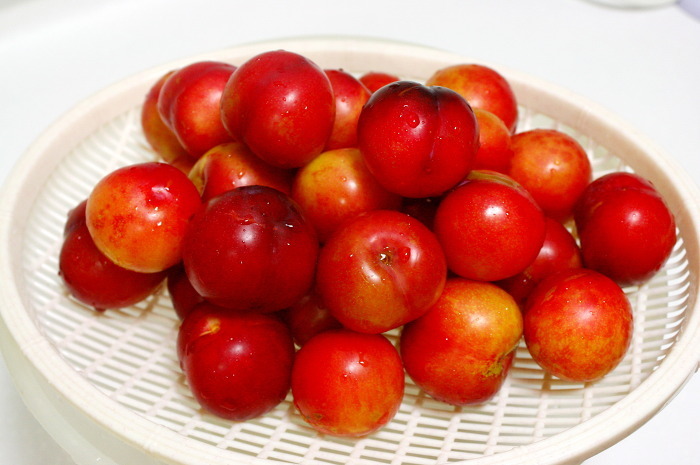 좀만 기다리면 먹을수 있는 과일들.jpg | 인스티즈