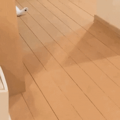 ???:아 깜짝이야 왜 화장실갈려고? | 인스티즈